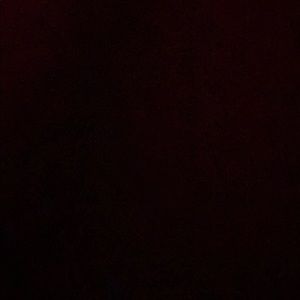 Meet your Posher, Bryan